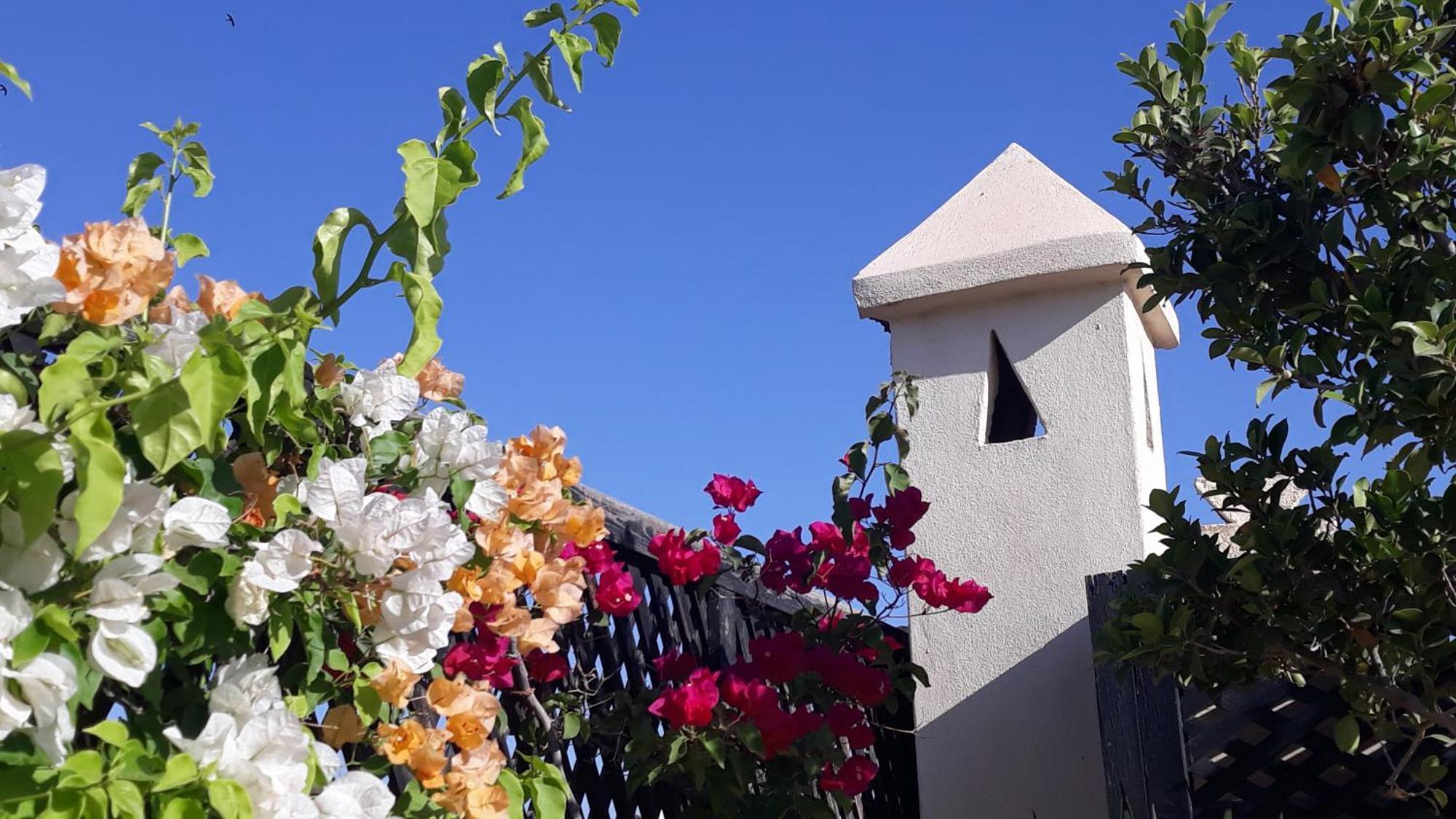 Riad Dar Zampa Μαρακές Εξωτερικό φωτογραφία